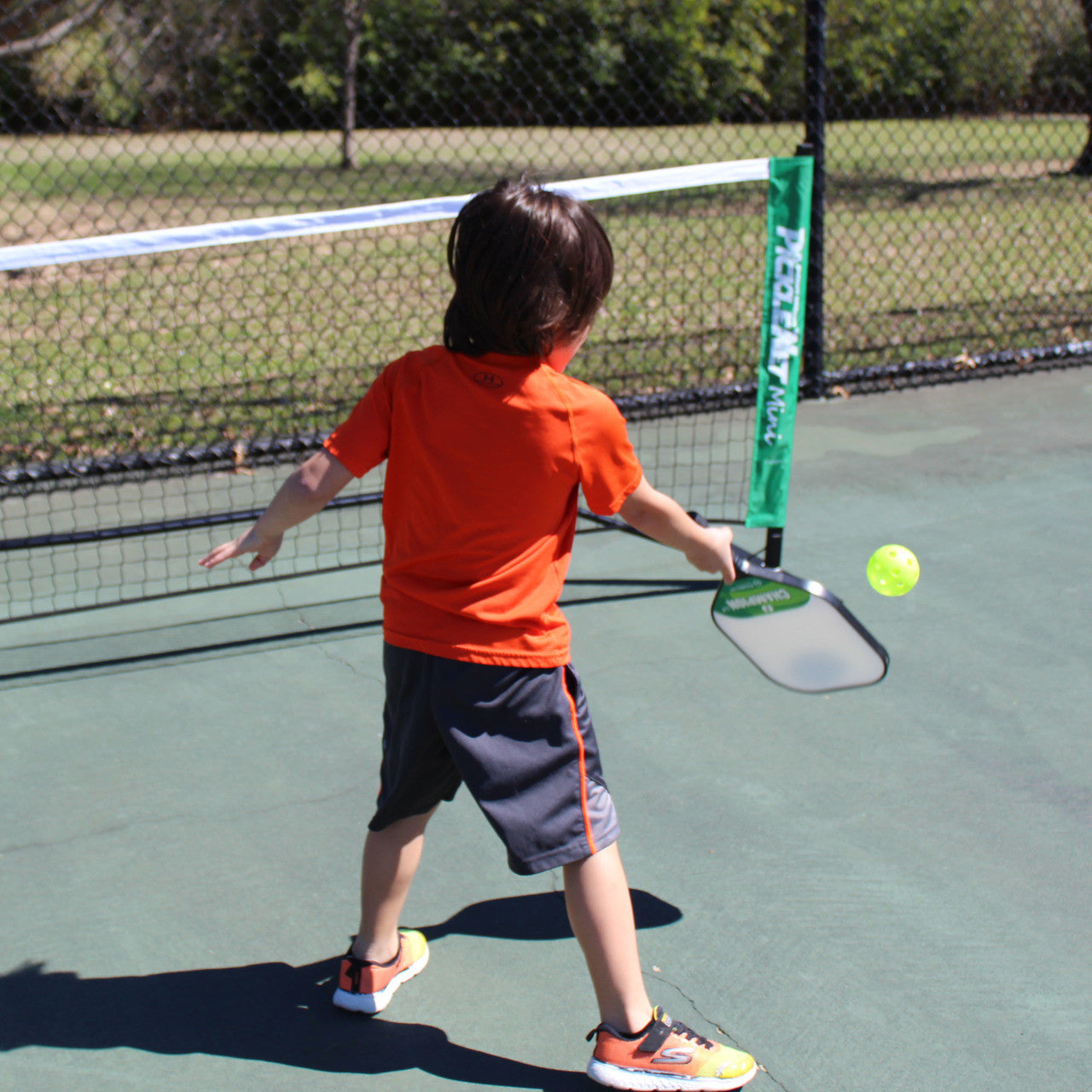 OnCourt OffCourt - PickleNet Mini